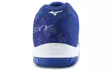 Mizuno Gate Sky Plus