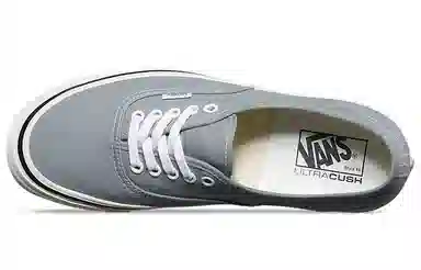 Vans Authentic 44 Dx Grey