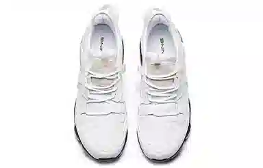 Anta