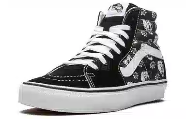 Vans SK8 Skull Floral High-Top