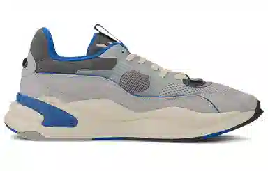 PUMA RS-2K Internet Exploring