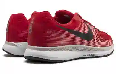 Nike Pegasus 34 Zoom