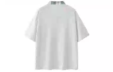 LogoPolo