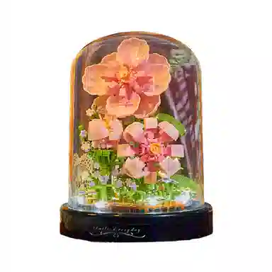 CANEXT 3ddiy 543pcs699pcs CANEXT-ZJ-JMYHJM