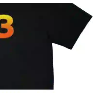 Y-3 x PALACE FW22 Black T-Shirt