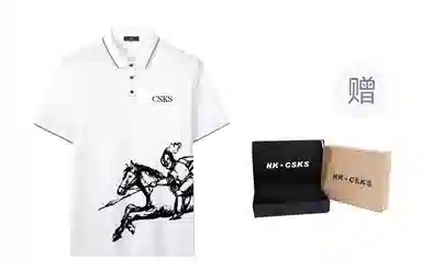 CSKS LogoPoloPolo