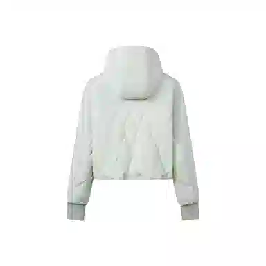 波司登 轻薄短款常规羽绒服 女款