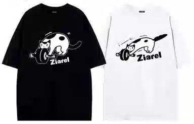ZIAREL logoT