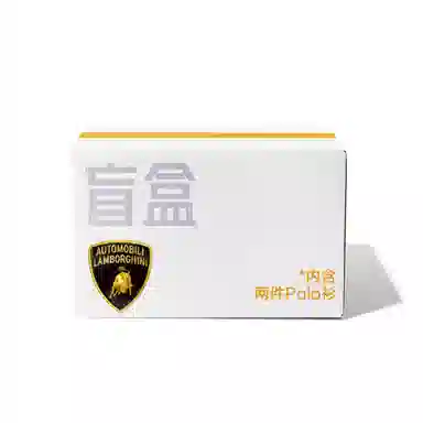 Automobili Lamborghini