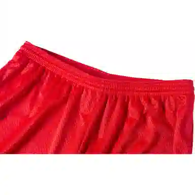 Champion Mesh Shorts Red
