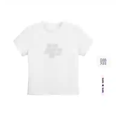 pallsupol logo T