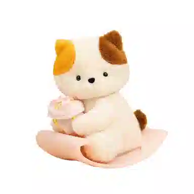 20cm