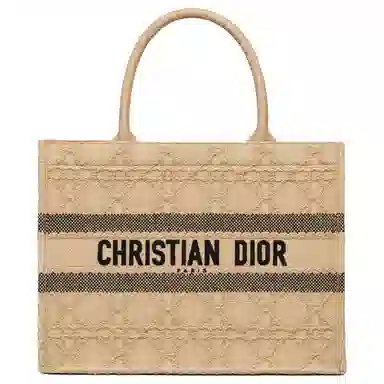 DIOR BookTote Tote
