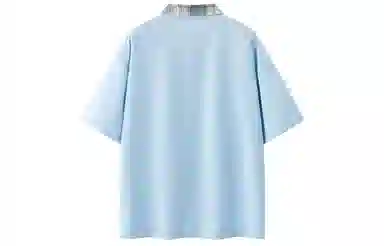 LogoPolo