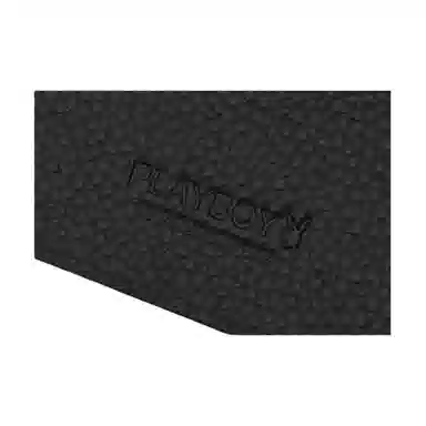 Playboy Logo PVC