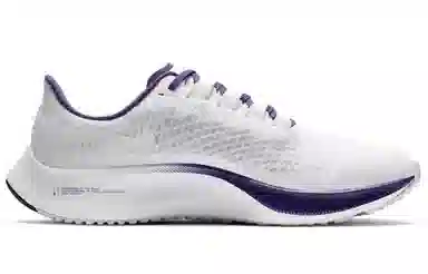 Nike Pegasus 37 "Minnesota Vikings"