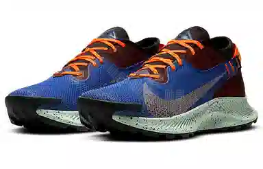 Nike Pegasus Trail 2 GORE-TEX