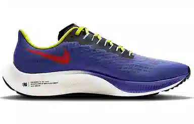 Nike Pegasus 37 Blue Yellow