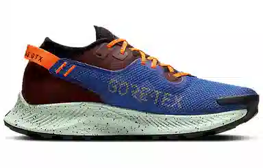 Nike Pegasus Trail 2 GORE-TEX