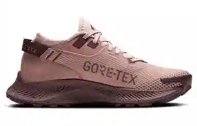 Nike Pegasus Trail 2 GORE-TEX Brown