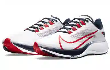 Nike Pegasus 37 "New England Patriots"