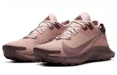 Nike Pegasus Trail 2 GORE-TEX Brown
