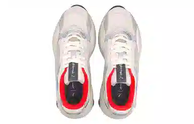 Attempt x Puma RS-2K