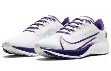 Nike Pegasus 37 "Minnesota Vikings"