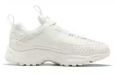 Reebok Dmx Series 2200