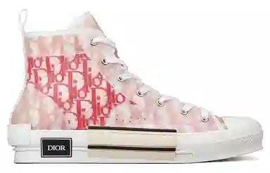 DIOR B23