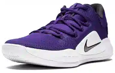 Nike Hyperdunk X Low White Purple