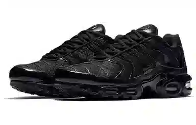 Nike Air Max Plus Black
