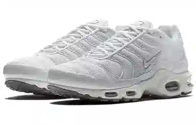 Nike Air Max Plus