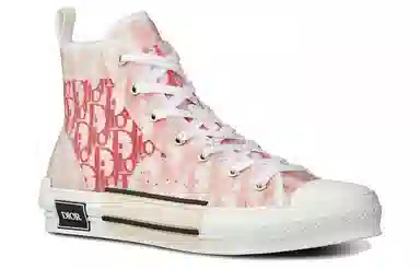 DIOR B23
