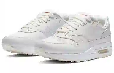 Nike Air Max 1 Yours