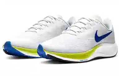 Nike Pegasus 37 White Green Blue