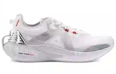 3.0 pro