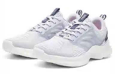 Anta