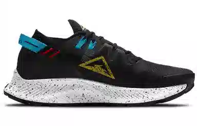 Nike Pegasus Trail 2