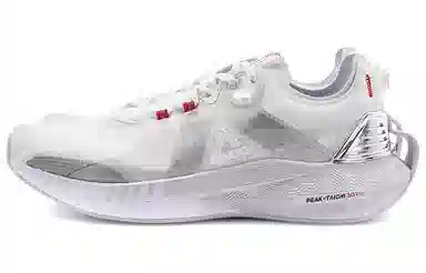 3.0 pro