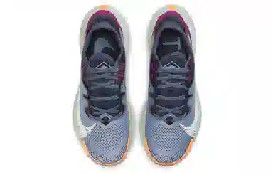 Nike Pegasus Trail 2