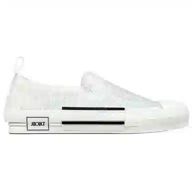 DIOR B23