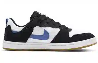 Nike SB Alleyoop "White Team Royal"