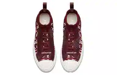 DIOR Walk'n'Dior