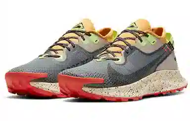 Nike Pegasus Trail 2 GORE-TEX