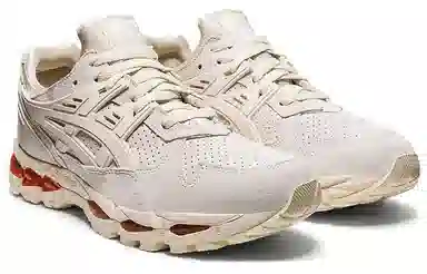Asics Gel-Kayano Trainer 21