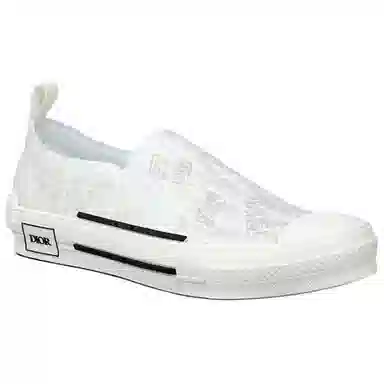 DIOR B23