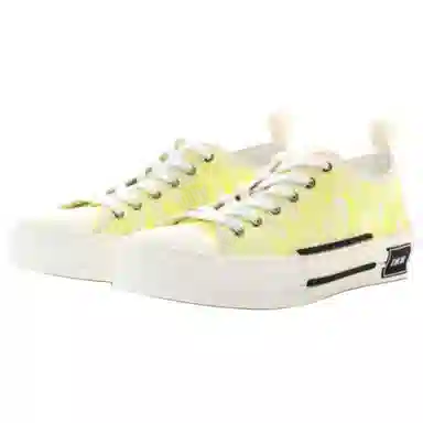 DIOR B23