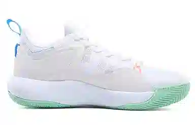 Peak Basketball Shoes White