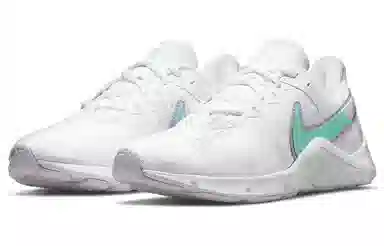 Nike Legend Essential 2